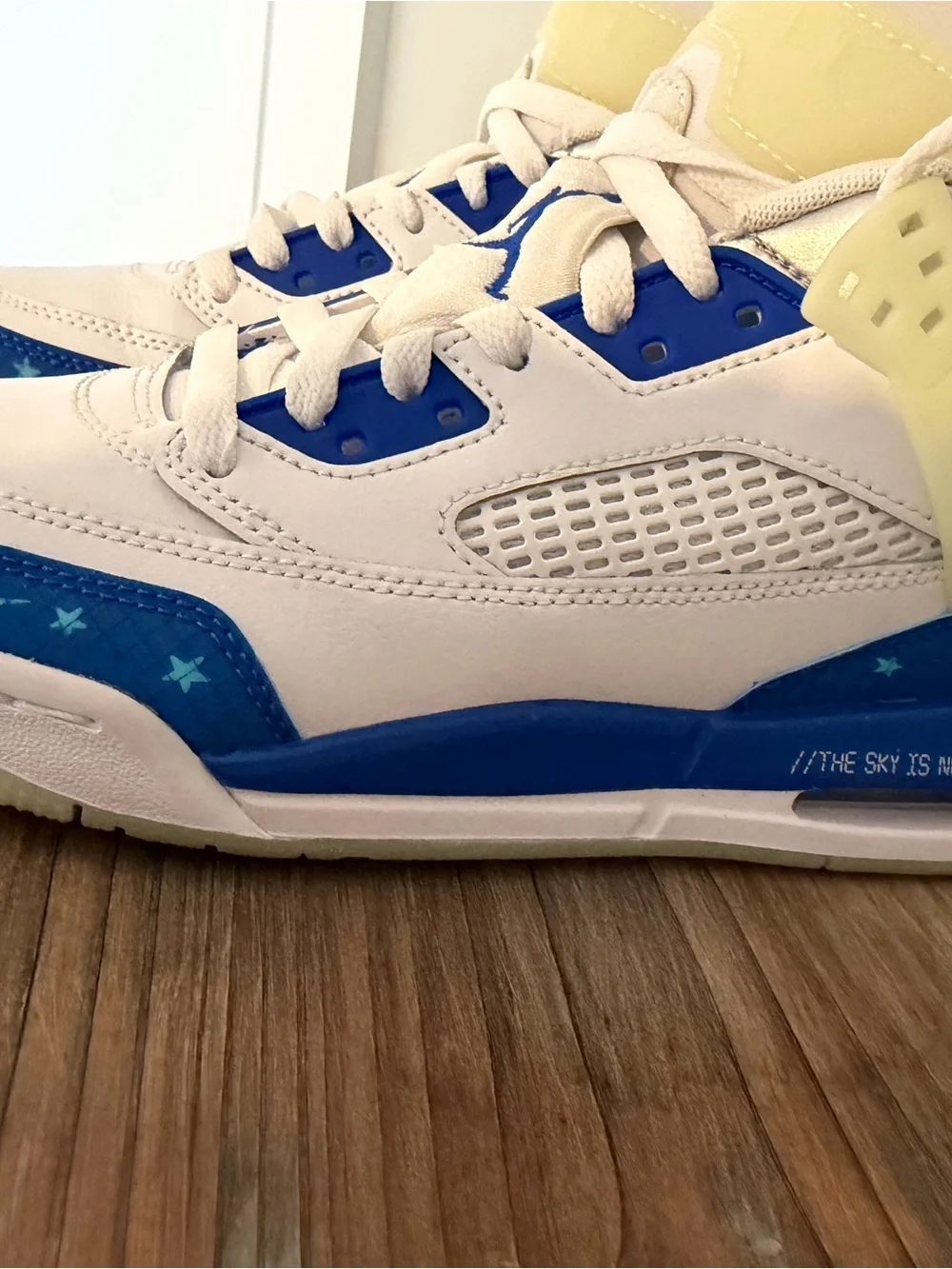 Jordan air spizike